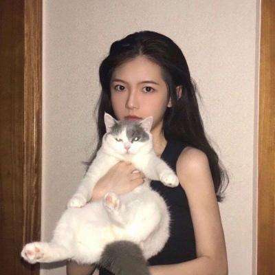 权战天下手游下载